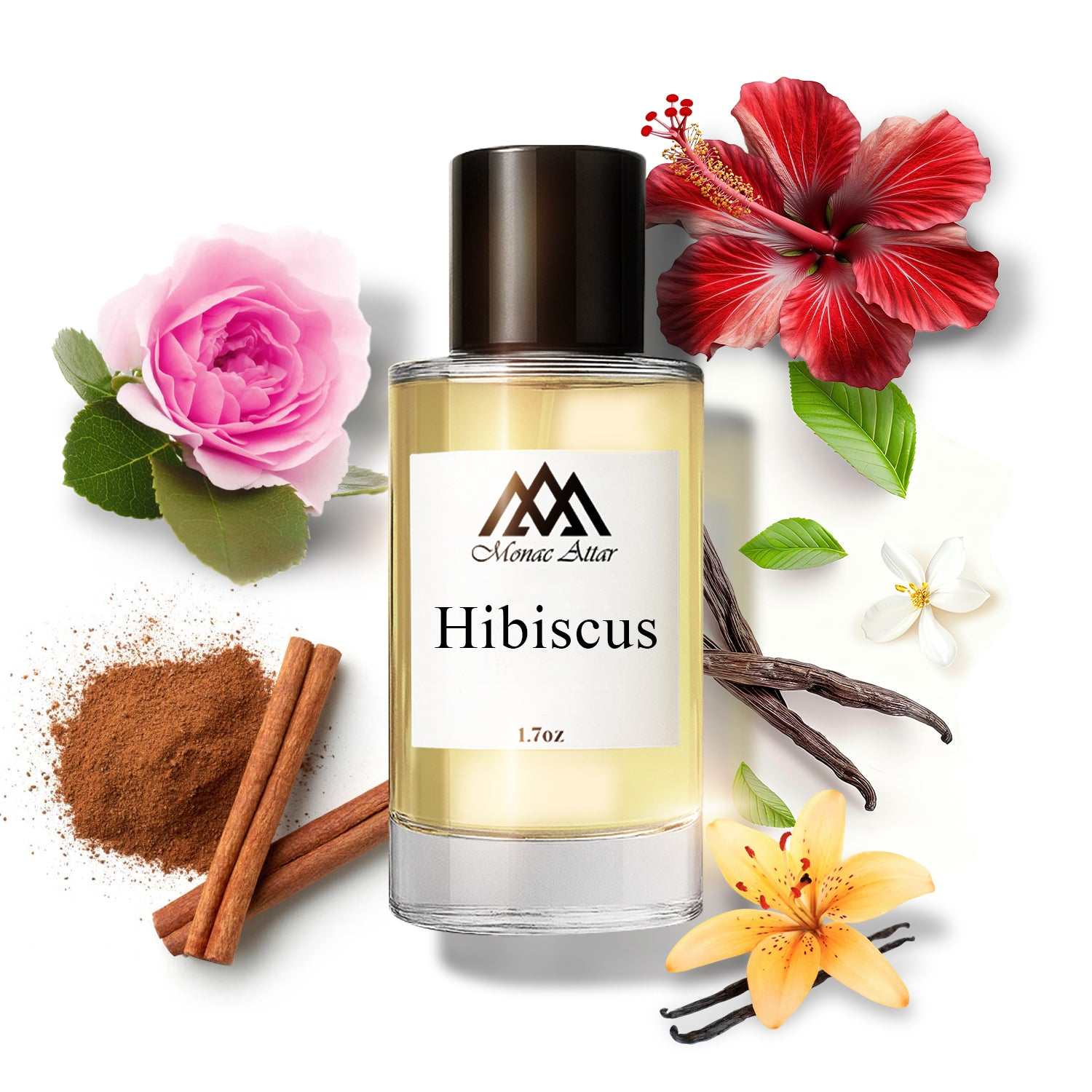 Hibiscus