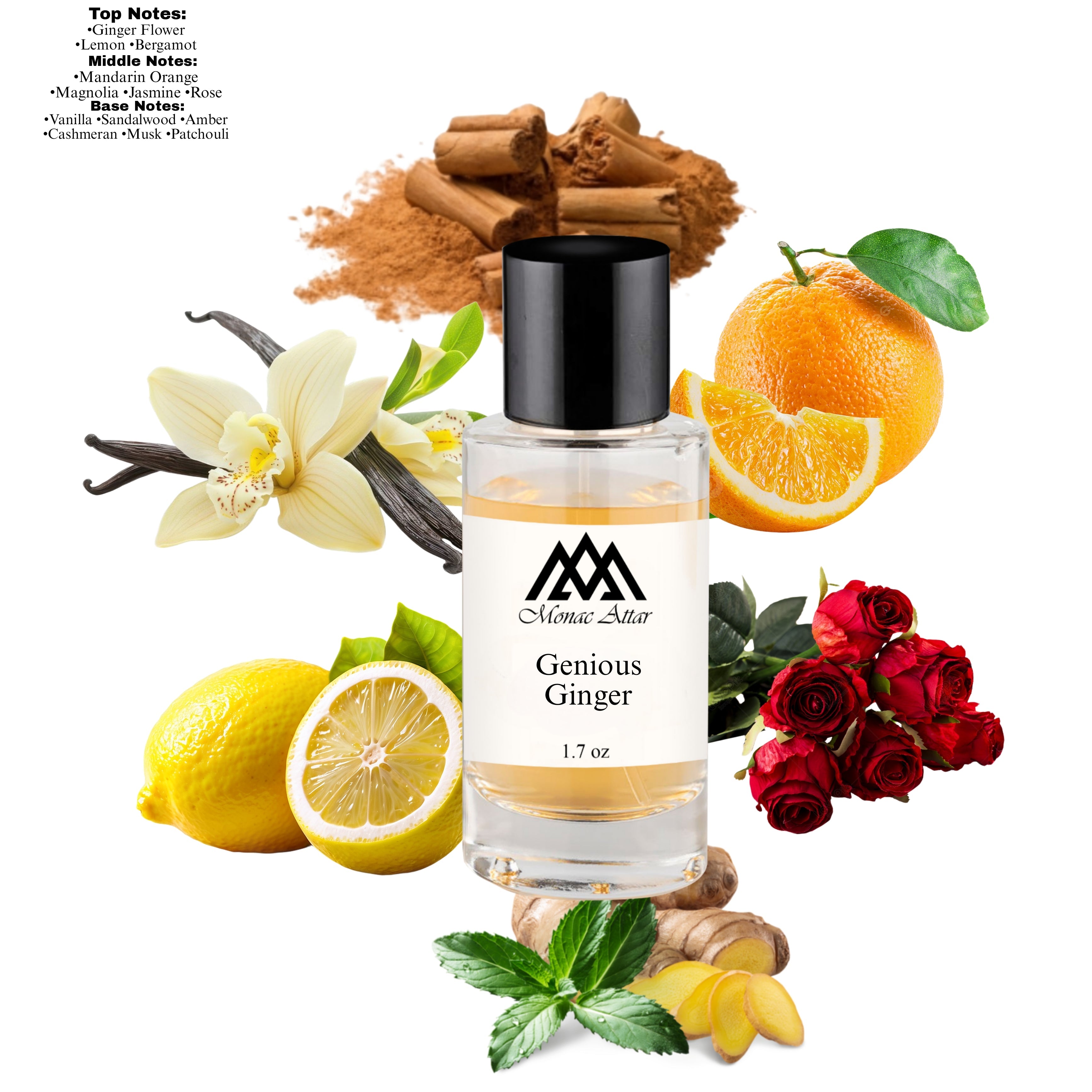 Genious Ginger Inspired By Ingenious Ginger