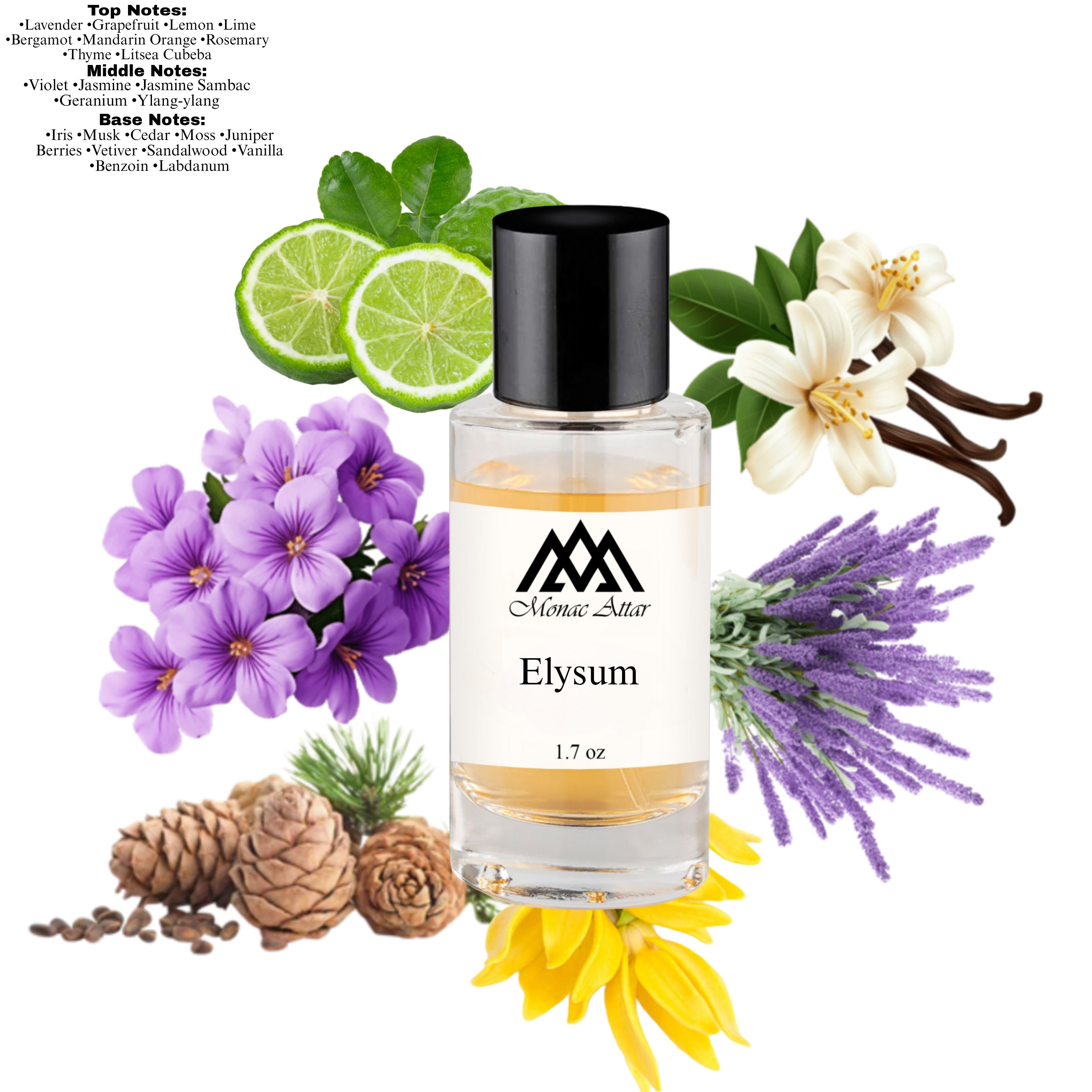 Elysum Inspired By Elysium