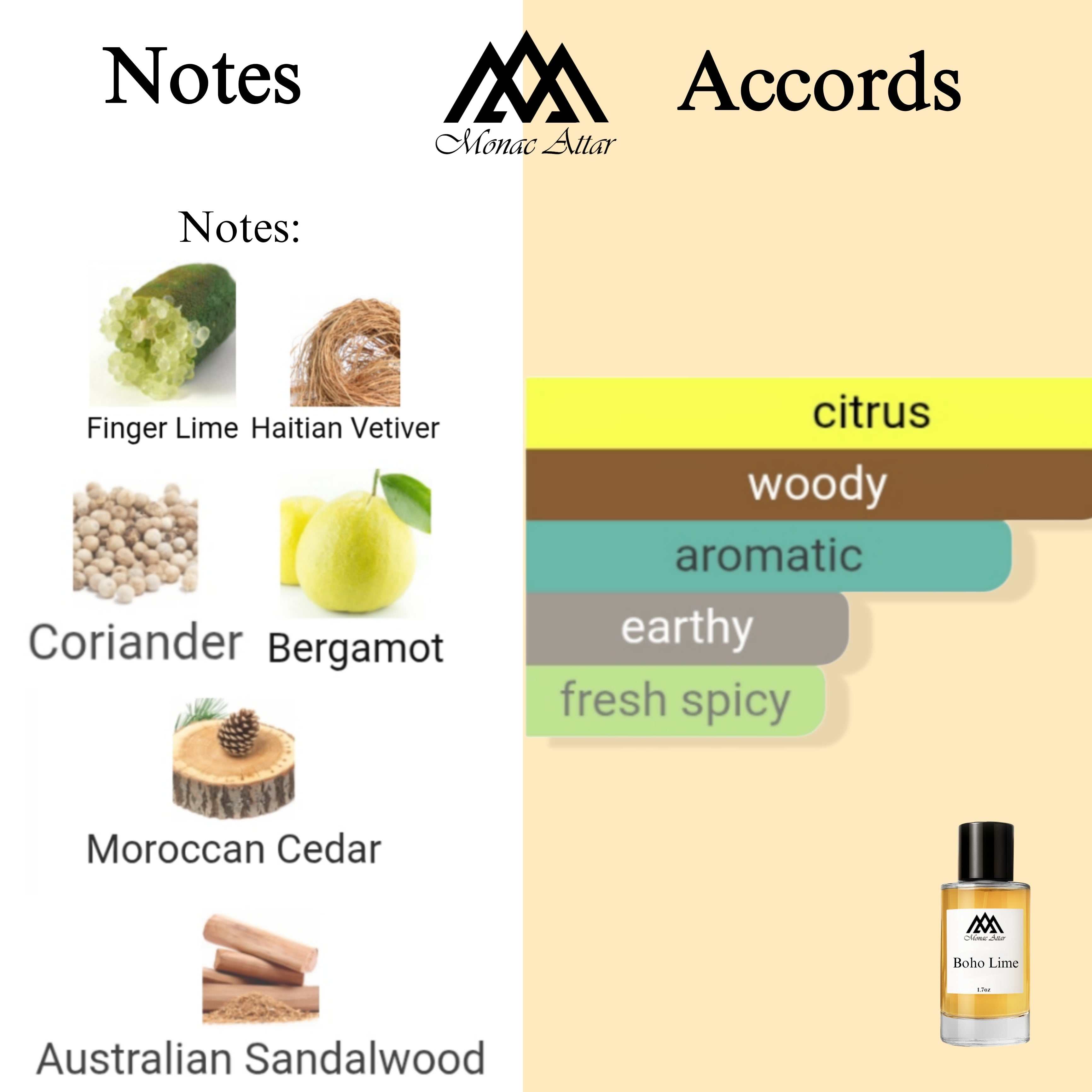 Fragrance notes of Bohemian Lime - scent profile inspired by Bohemian Lime fragrance