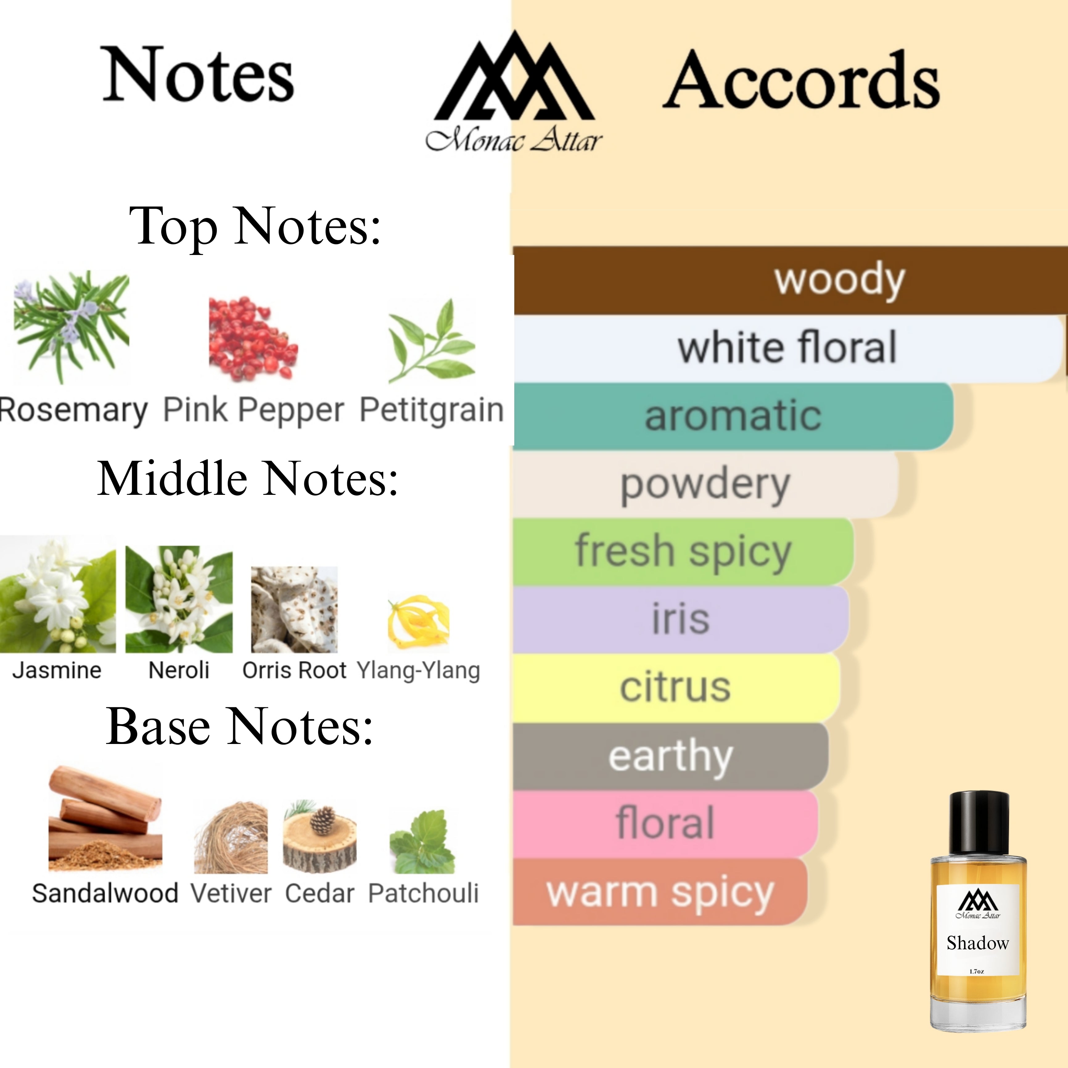 Fragrance notes of Reflection Man - scent profile inspired by Reflection Man fragrance