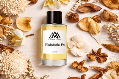 Vanille Planifolia Extrait 21 Alternatives That Actually Smell Right