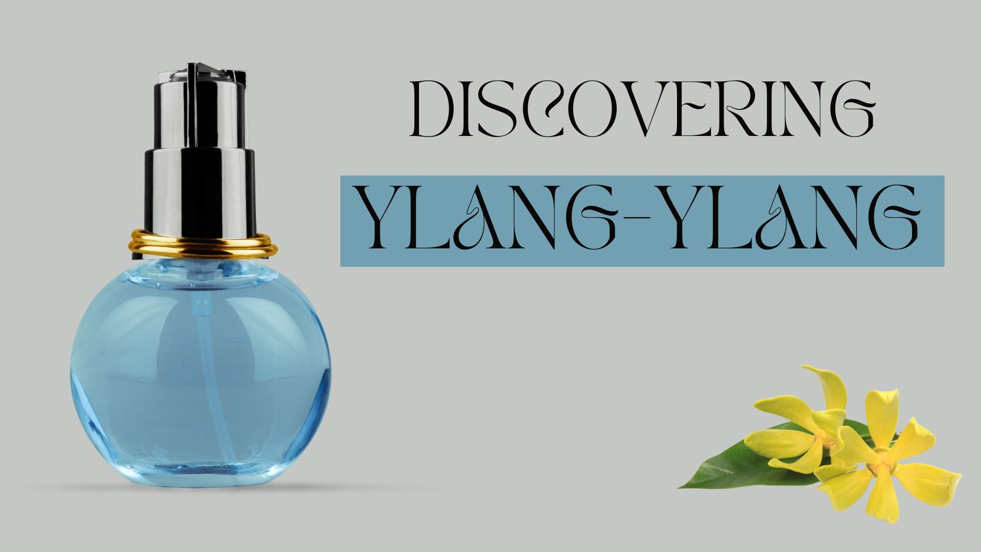 The Exotic Fragrance Note: Discovering Ylang-ylang