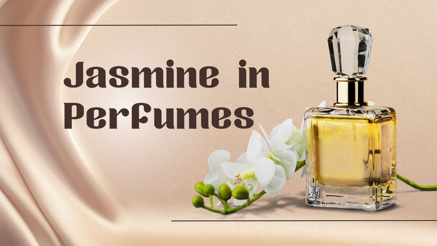 Why do master perfumers use Jasmine frequently?