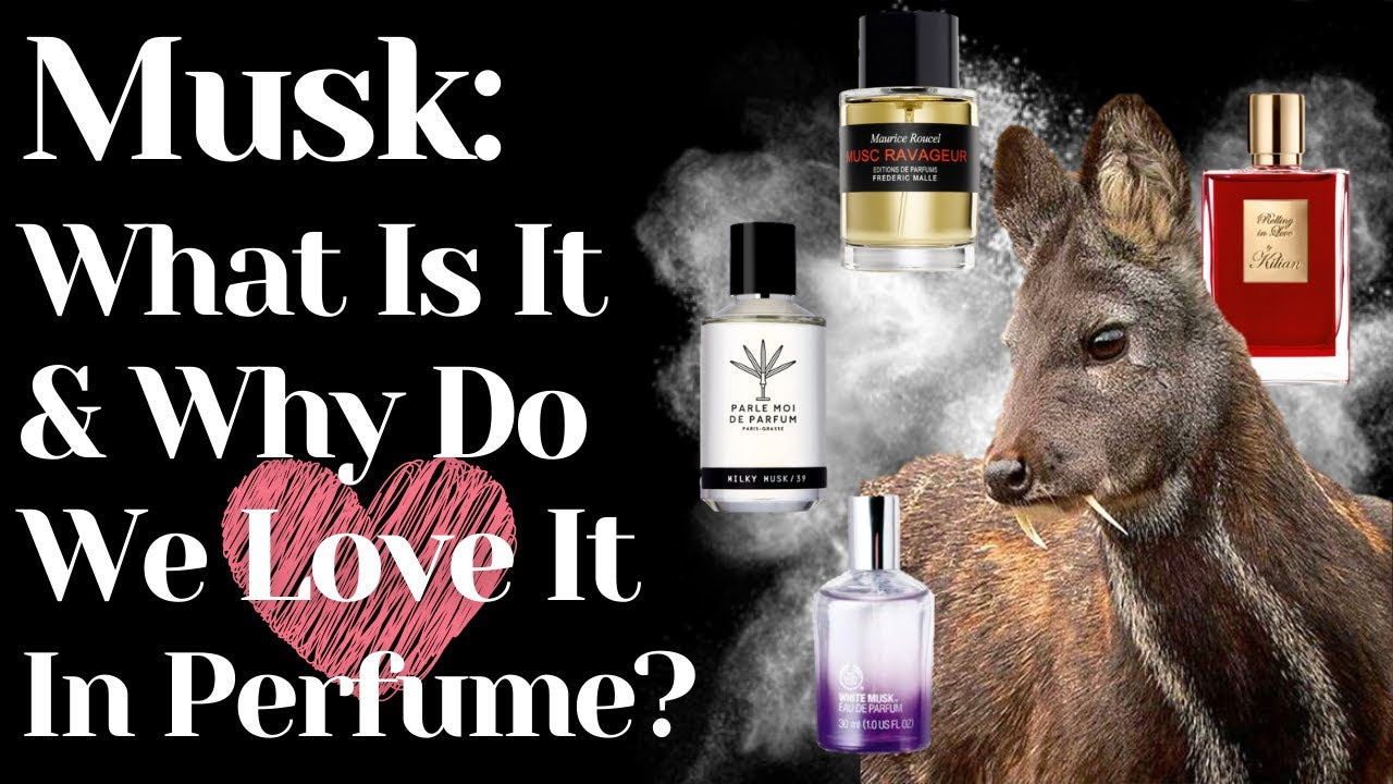 Understanding The Unique Scent of Musk.