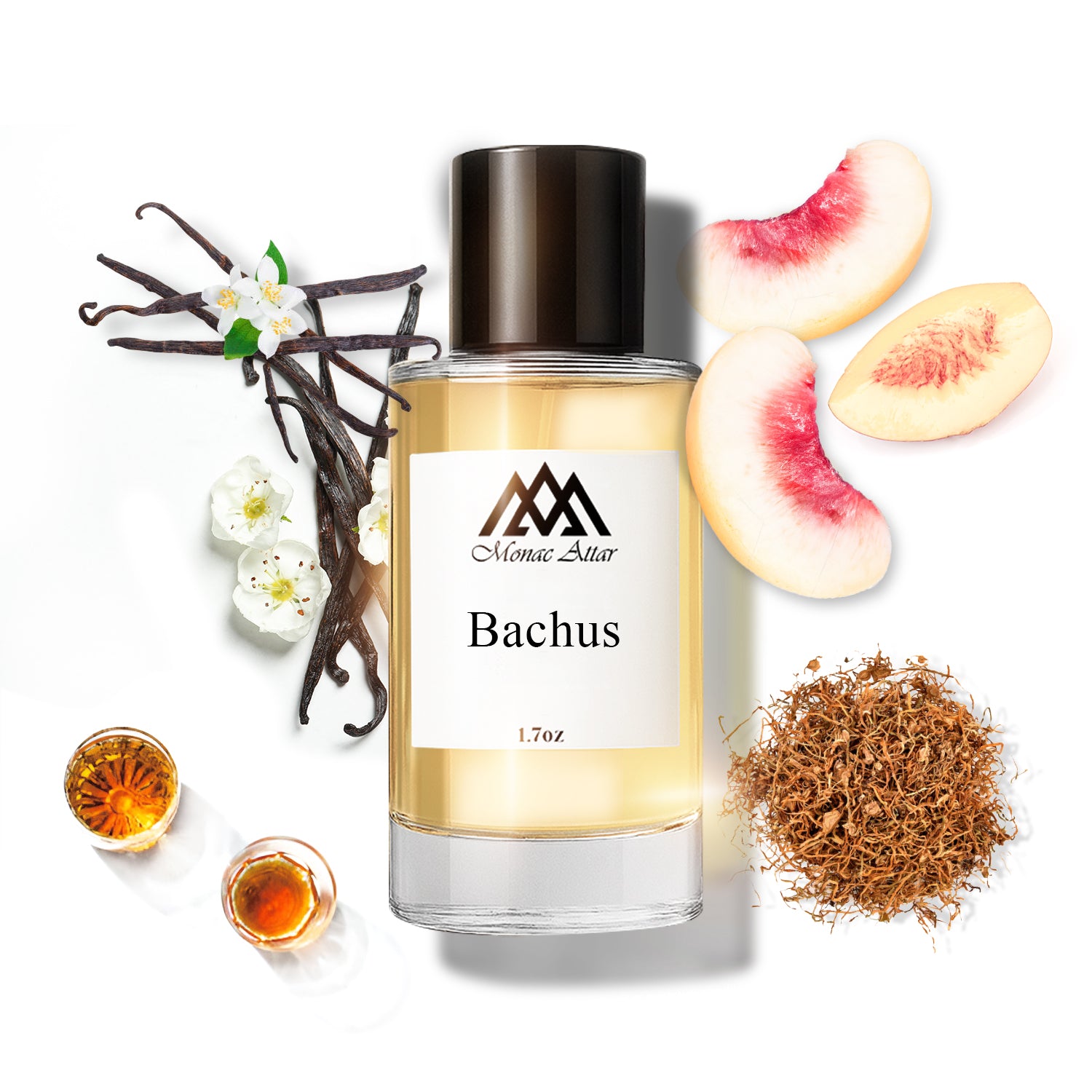 Bachus