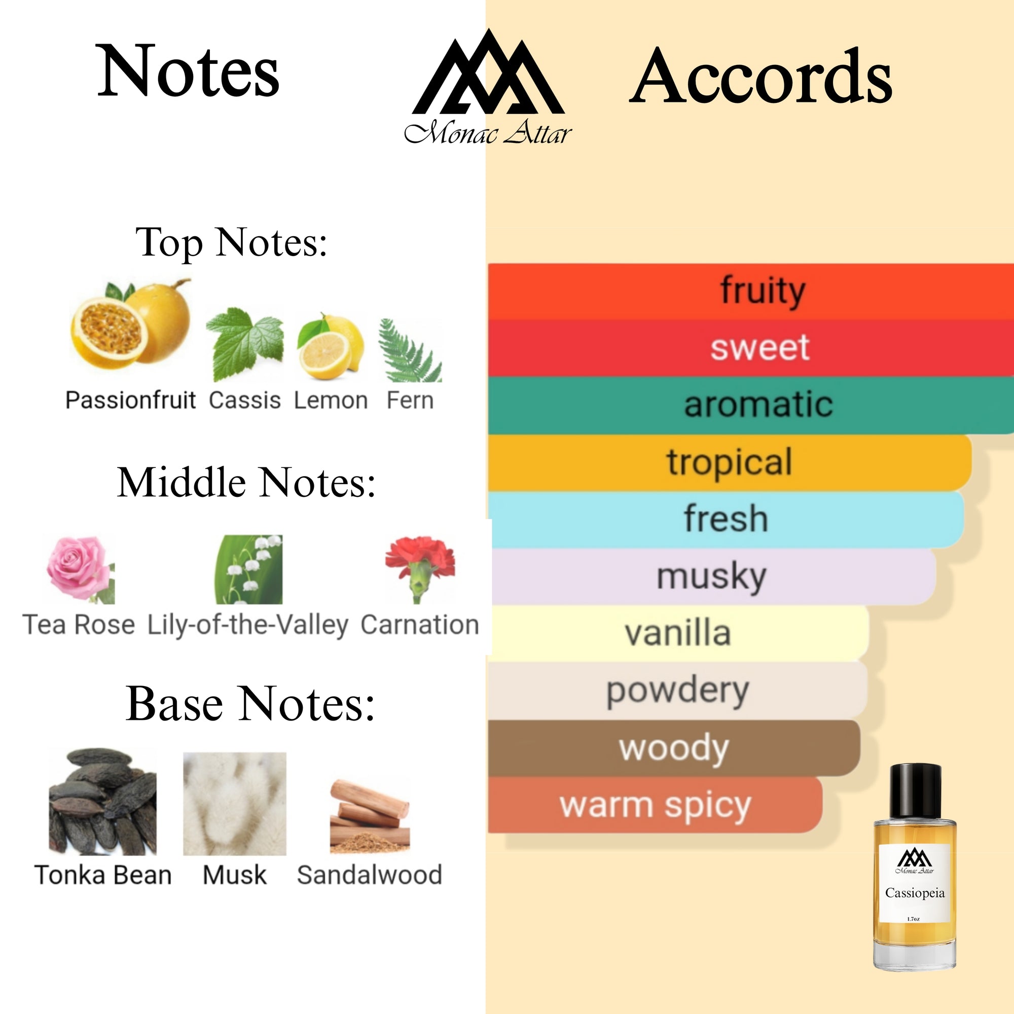Fragrance notes of Cassiopea - scent profile inspired by Cassiopea fragrance