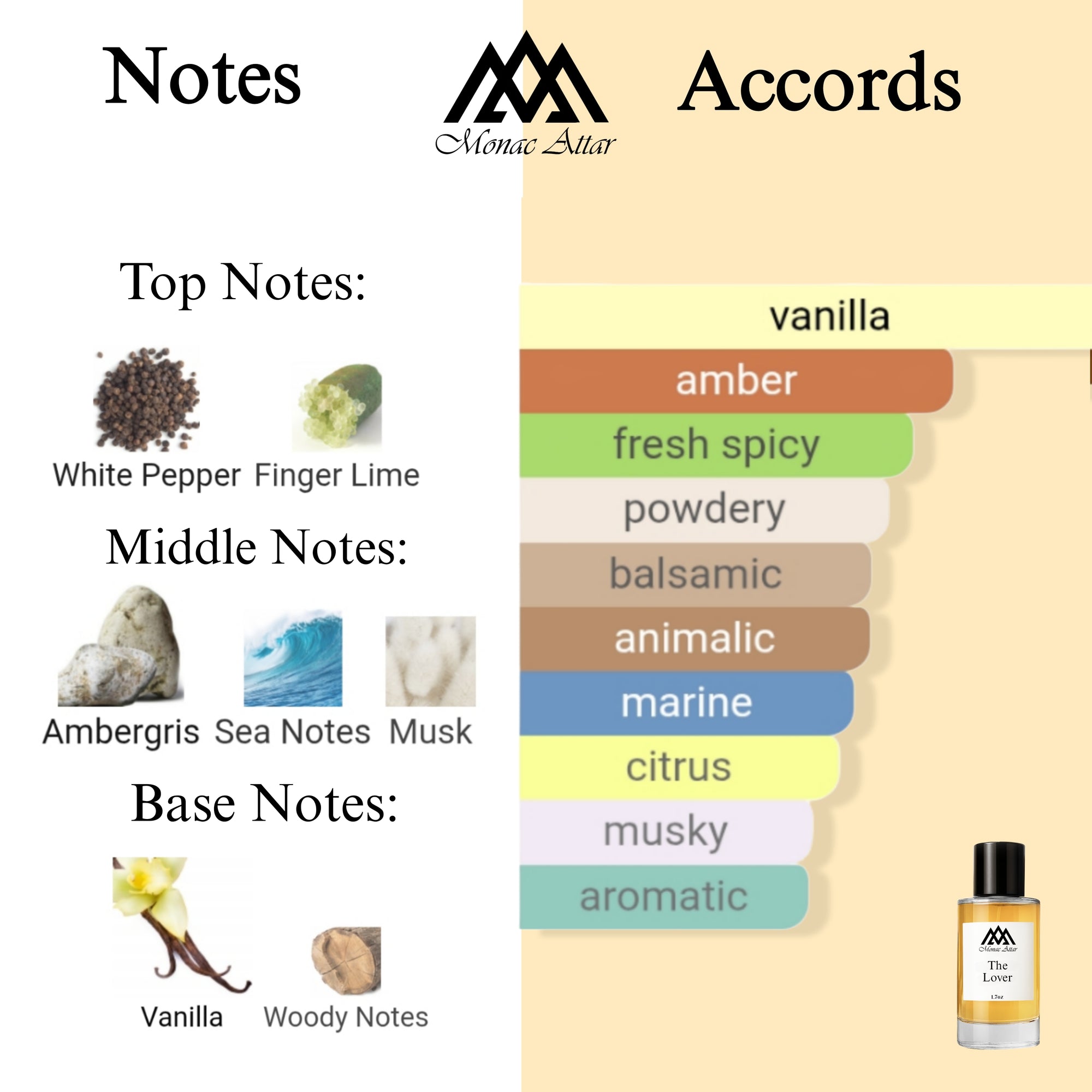 Fragrance notes of Le Male Lover - scent profile inspired by Le Male Lover fragrance