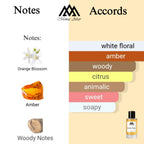 Fragrance notes of Stellar Times - scent profile inspired by Stellar Times fragrance