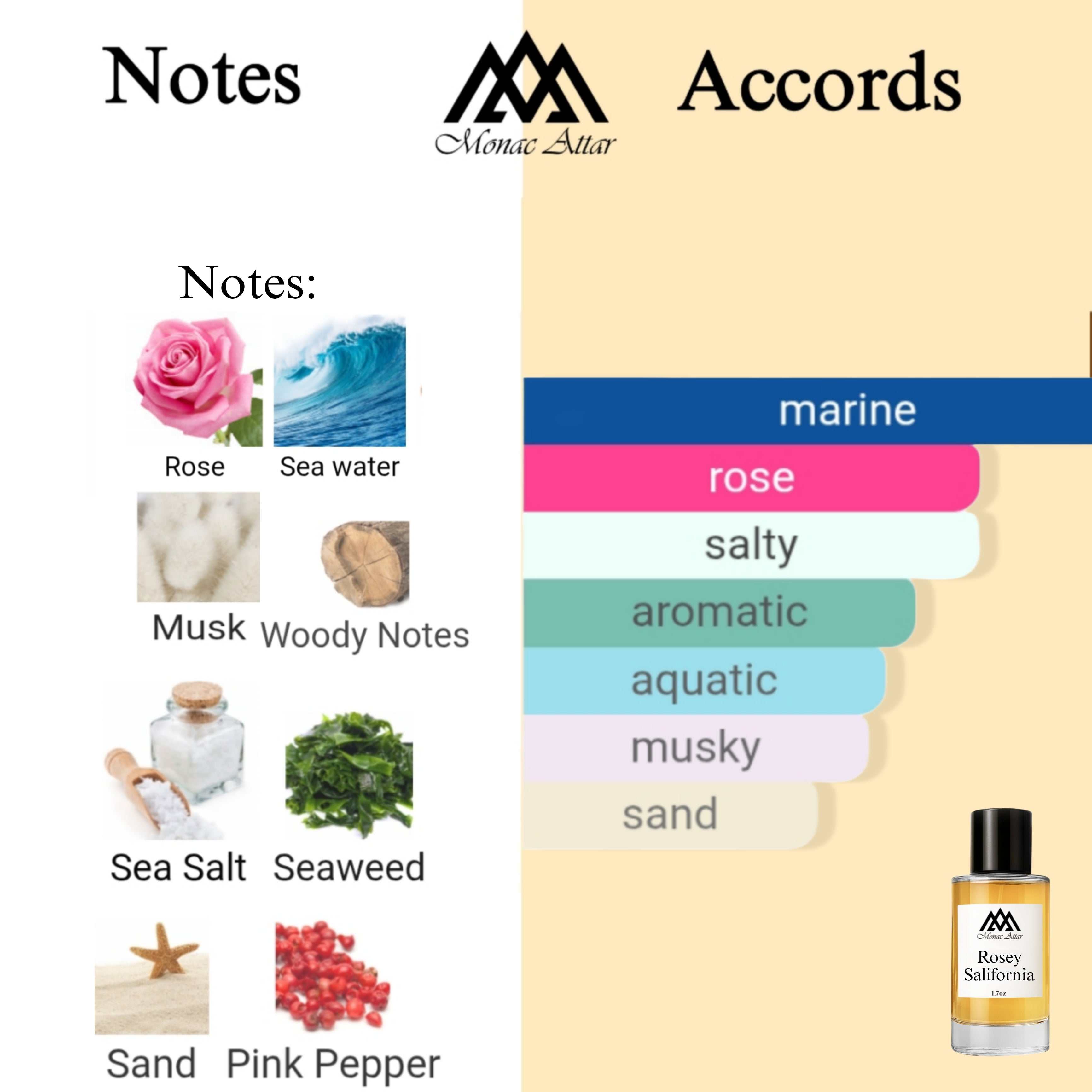 Fragrance notes of Rose Saltifolia - scent profile inspired by Rose Saltifolia fragrance