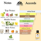 Fragrance notes of Torino 23 - scent profile inspired by Torino 23 fragrance
