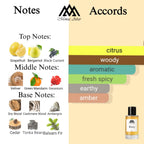 Fragrance notes of Perseus - scent profile inspired by Perseus fragrance