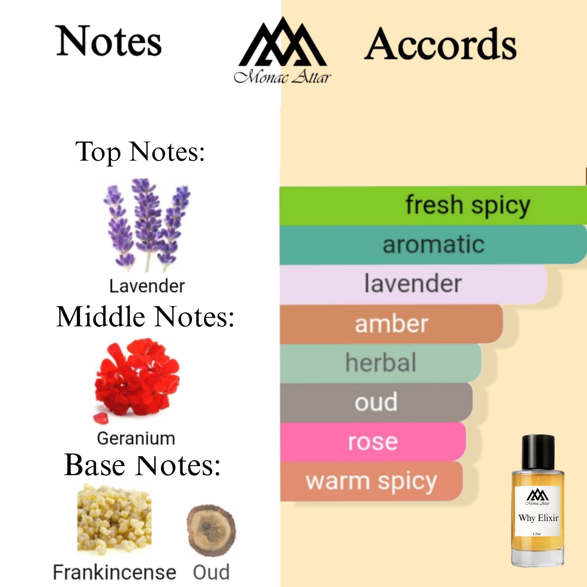 Fragrance notes of Y Elixir - scent profile inspired by Y Elixir fragrance