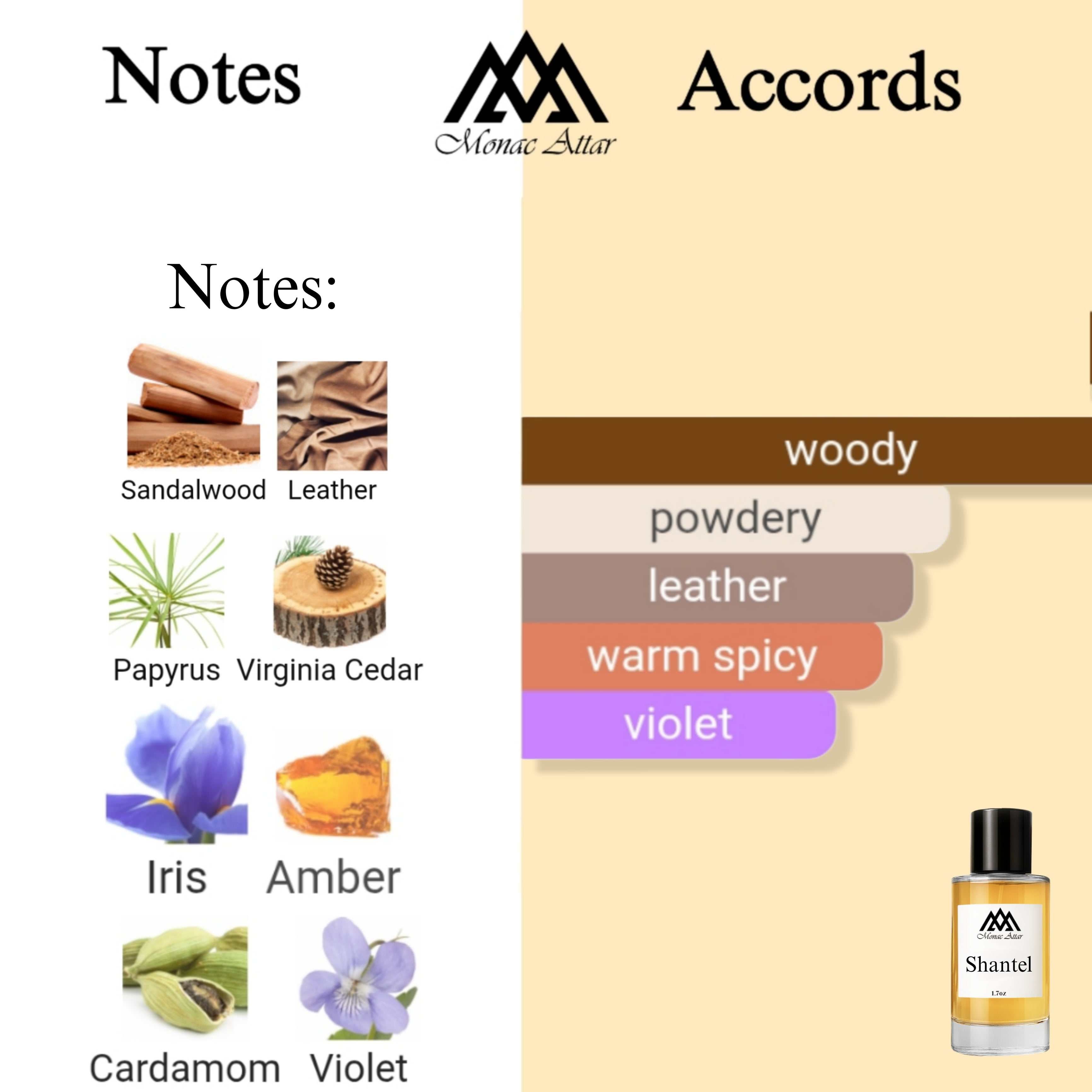 Fragrance notes of Shantal 33 - scent profile inspired by Shantal 33 fragrance