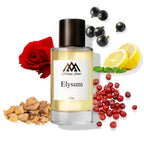 Luxury Elysium dupe- Monac Elysum Inspired by Elysium