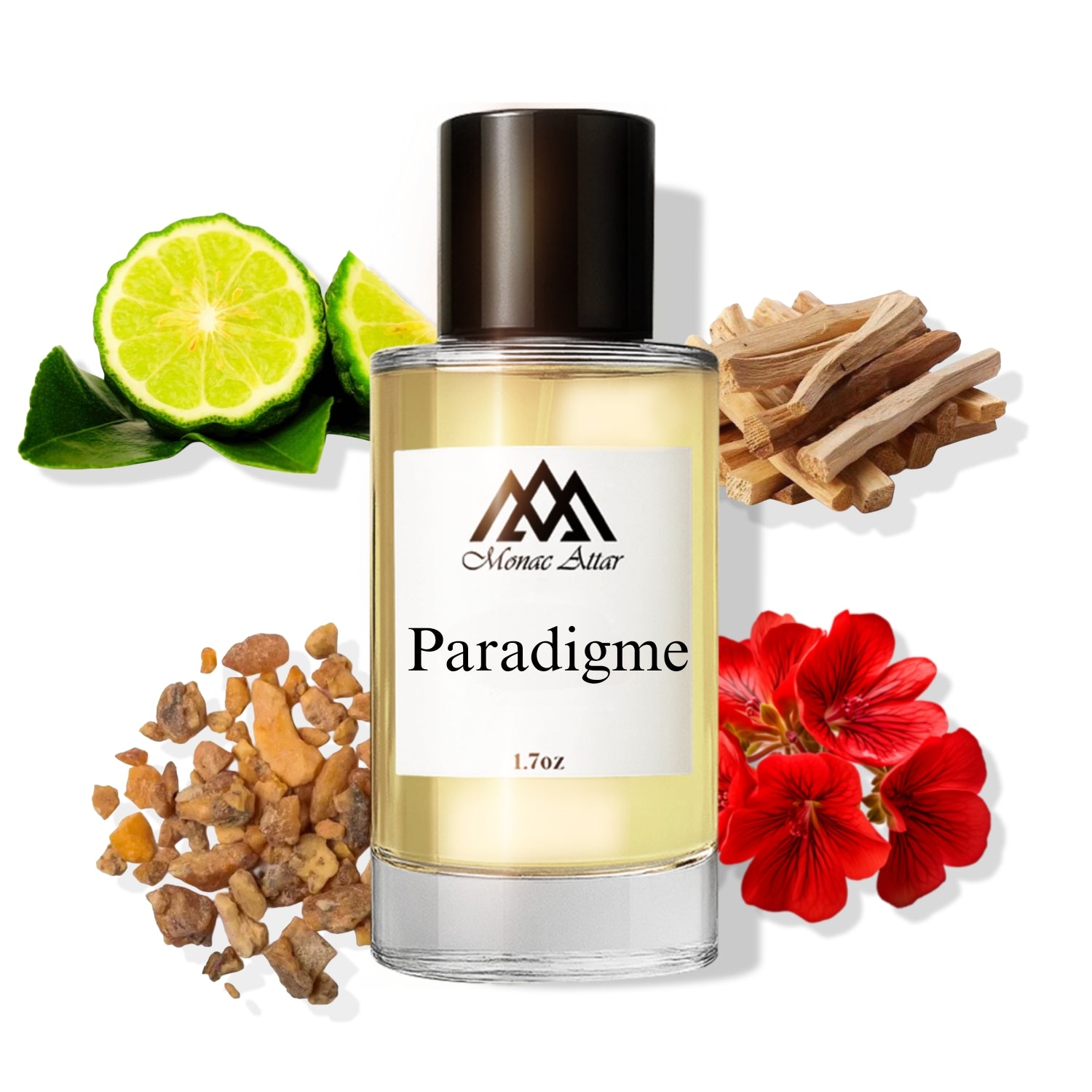 Paradigme
