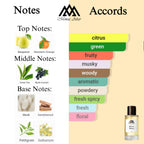 Fragrance notes of Silver Water- scent profile inspired by Silver Mountain Water fragrance